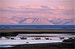 Porcupine Caribou herd Tamayariak River ANWR AK