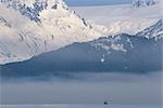 Kommerzielle Fischerboot im Nebel in der Nähe von Homer Alaska Kachemak Bay Kenai Mts