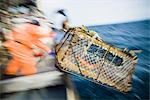 Matelots de pont baisser un pot avec appât sur le pont du Centurion F/V lors de la pêche à la morue dans la baie de Kachemak, Alaska