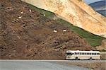 Tourists abourd ARAMARK wildlife tour bus view Dall Sheep on slope Polychrome Pass Denali National Park