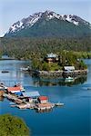 Flétan Cove dans la baie de Kachemak face à Homer, en Alaska, en été