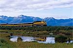 Alaska Railroad passenger train passes a pond at Potter Marsh. Summer in Southcentral Alaska.