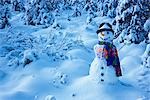 Snowman with colorful scarf and vest wearing a black top hat standing in snow covered spruce forest near Fairbanks, Alaska in Winter