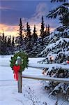 Holiday Wreath hanging on split-rail fence next to decorated tree w/sunset Anchorage Alaska Winter