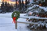 Couronne de vacances accroché à côté de dédoubler-rail fence décoré arbre w/coucher du soleil hiver Alaska Anchorage