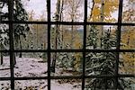 View from cabin of first snowfall Robertson River  Southcentral Alaska Autumn