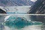 Iceberg flottant de Dawes Glacier à Endicott Arm, à l'intérieur du Passage, de l'Alaska