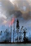 Blazing forest fire in Kenai Wildlife Refuge, Skilak Lake, Alaska, Summer.