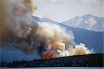 Blazing forest fire in Kenai Wildlife Refuge, Skilak Lake, Alaska, Summer.