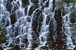 Waterfall Prince of Wales Isl  Southeast Alaska/nNear Waterfall Lodge