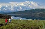 Regarde un Mt McKinley & Wonder Lake Denali NP intérieur Ak