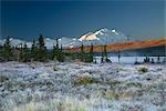 North face of Denali at sunrise with frost covered grass and Wonder Lake in the foreground in Denali National Park, Alaska