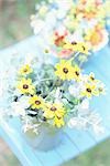 Rudbeckia in bucket on table