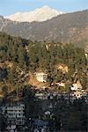 District de McLeod Ganj, Dharamsala, Kangra, Himachal Pradesh, Inde