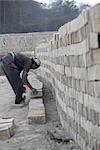 Homme de construction d'un mur de briques, Chapagaon, Népal