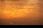 Sunset, Thar Desert, Rajasthan, India