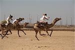 Camel Festival, Jaisalmer, Rajasthan, Inde