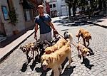 Dogwalker de San Telmo, Buenos Aires, Argentine