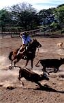 Gauchos,El Bordo de las Lansas,Salta,Argentina