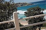 Bondi Beach,Sydney,New South Wales,Australia