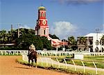 Early morning on the garrison savannah,Bridgetown,Barbados