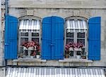 Detail des Flowerboxes im Fenster des Hauses in Arles, Provence, Frankreich.