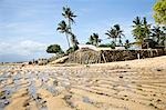 Seaweed farming by beach,Lembongan,Bali,Indonesia