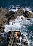 Bains de soleil sur les rochers près de Manarola, Cinque Terre zone, Ligurie, Italie