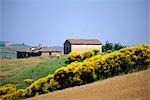 Creti Senesi, Toskana, Italien