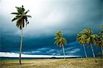 Dark clouds and storm brewing at sea,Penarek Inn beach huts,Penarek,Terengganu,Malaysia