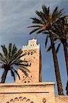 Minaret of Koutoubia Mosque and palm tree,Marrakesh,Morocco