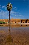 Ruins of Badii Palace (Palais el-Badi),Marrakech,Morocco