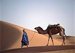 Homme et camel, Tinfou, Maroc.