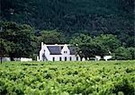 Maison coloniale dans champ, Western Cape, Afrique du Sud