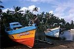 FISHING BOATS & PALMS,COLOMBO SRILANKA