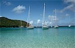 Yachts anchored in idyllic bay,St Vincent