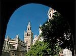 Tour de la Giralda à travers la voûte, Séville, Andalousie, Espagne