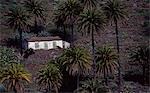 Maison parmi les palmiers, La Gomero, Iles Canaries, Espagne