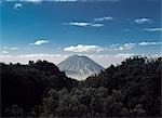 Looking over forest on Embakai crater to Ol Donyo Lengai (East Africa's only active volcano),Tanzania.