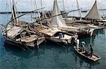 Les dhows utilisés pour la pêche & de transport, port à Stone Town, Zanzibar, Tanzanie