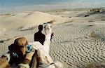 View from camel during a camel trek in Sahara Desert from Douz (town on the edge of the Southern Tunisia),Tunisia.