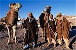 Berber Cameliers, Matmata, Süden Tunesiens.