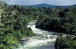 The River Nile,Jinja,Uganda