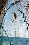Hauling in the nets aboard a trawler,Brixham,South Devon,England
