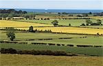 Côte de Northumberland, UK.