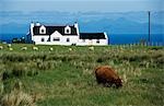 Île de Skye, en Ecosse, Royaume-Uni