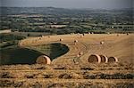 Ballots de paille dans le champ près du village de Mere, dans le Wiltshire, Angleterre