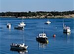 Lobster boats in Stonington Harbour,Maine,USA