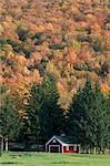 Fall foliage,Weston,Vermont,USA