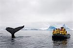 Gens en Zodiac bateau Whale Watching, Antarctique